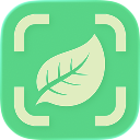 Arbora app icon