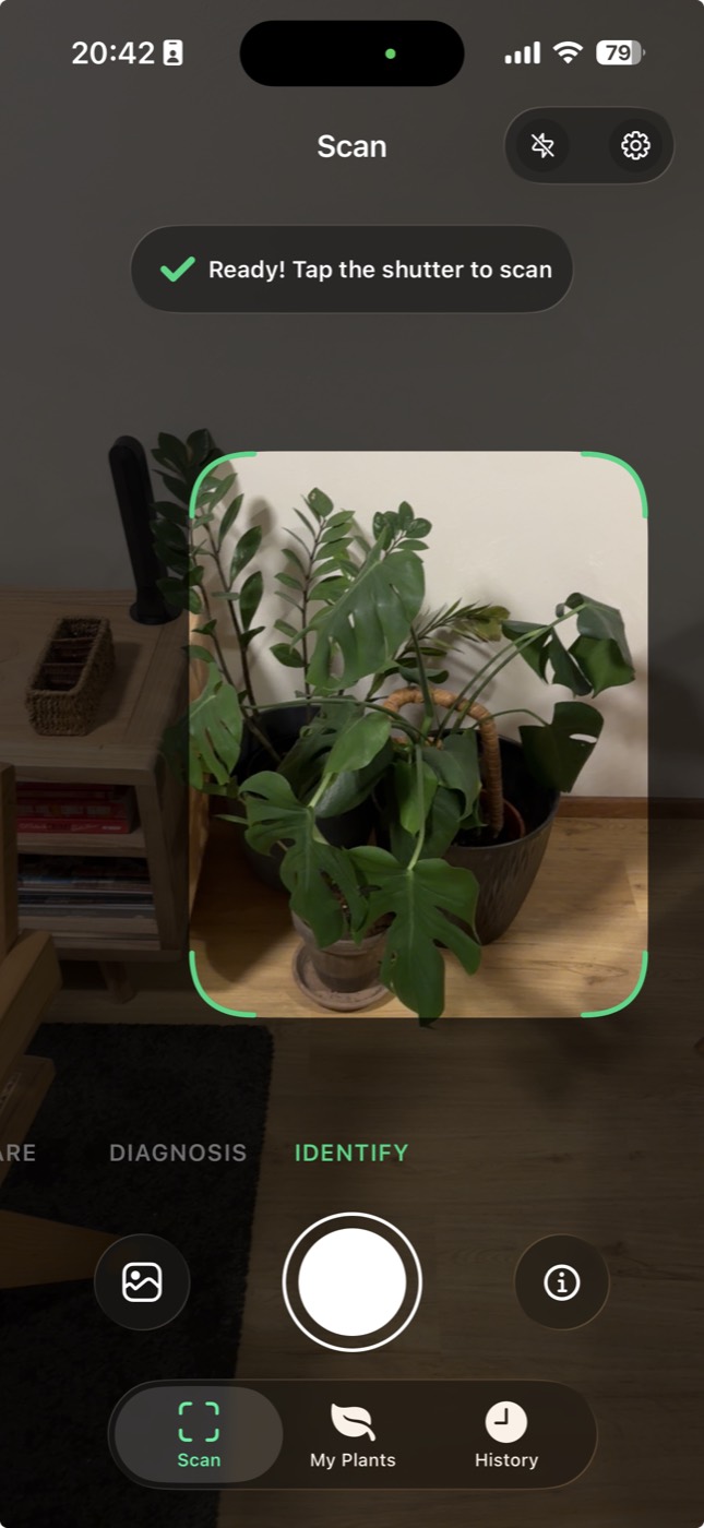 Arbora app screenshot